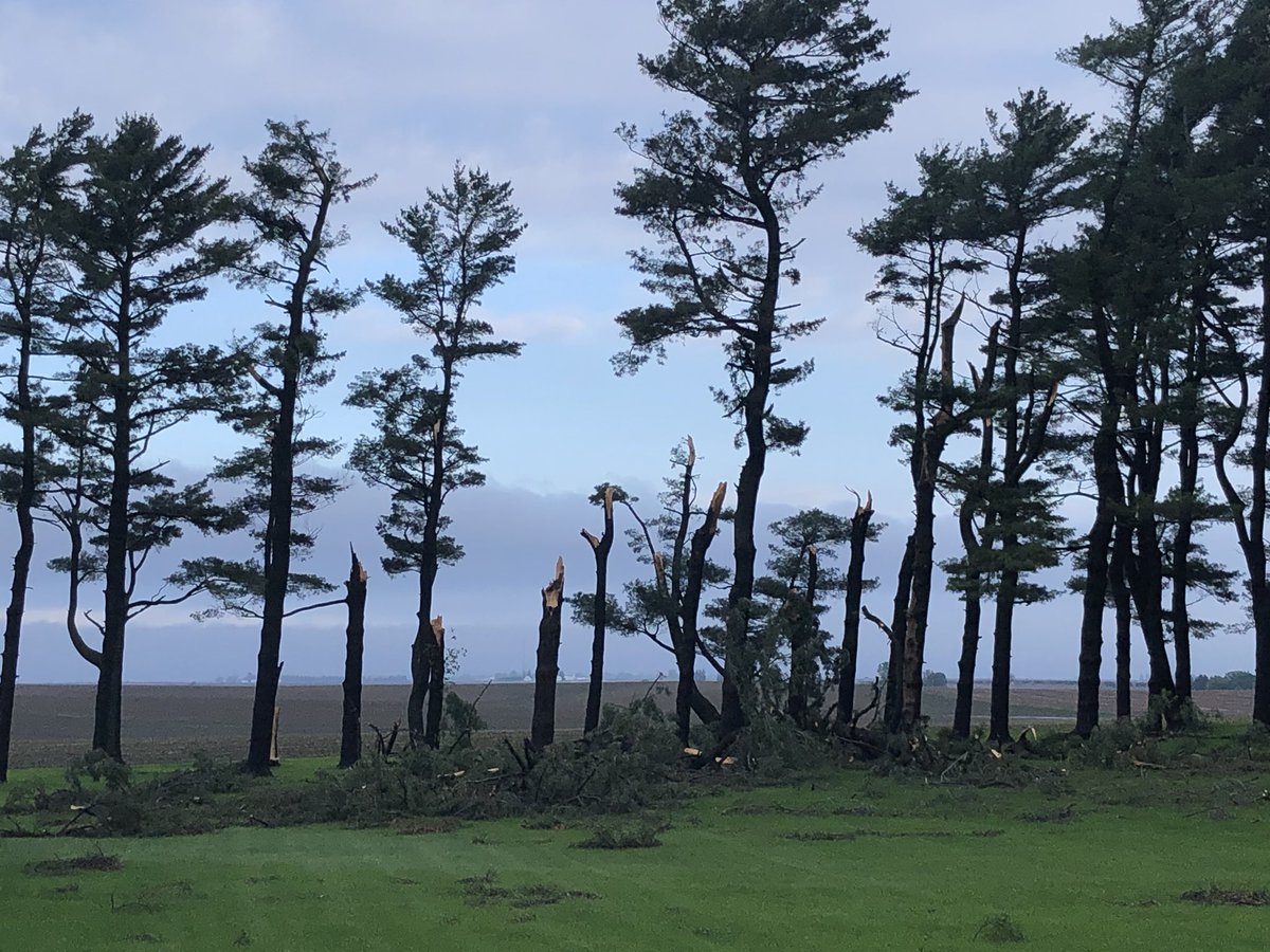 More damage in Clarence we found this morning. Tops of trees just sheared off