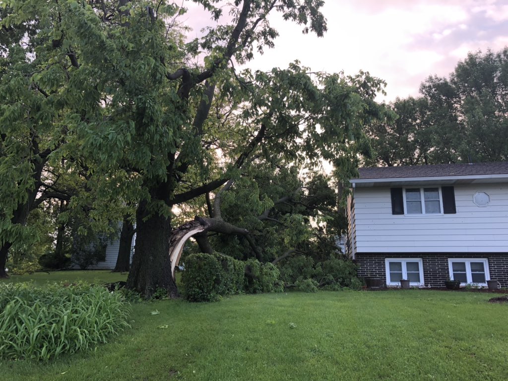 Clarence, Iowa, where people are waking up to the damage from Wednesday's floods and storms. Just look how close this tree came to hitting a home.